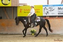 30-APHA O+A WP_017